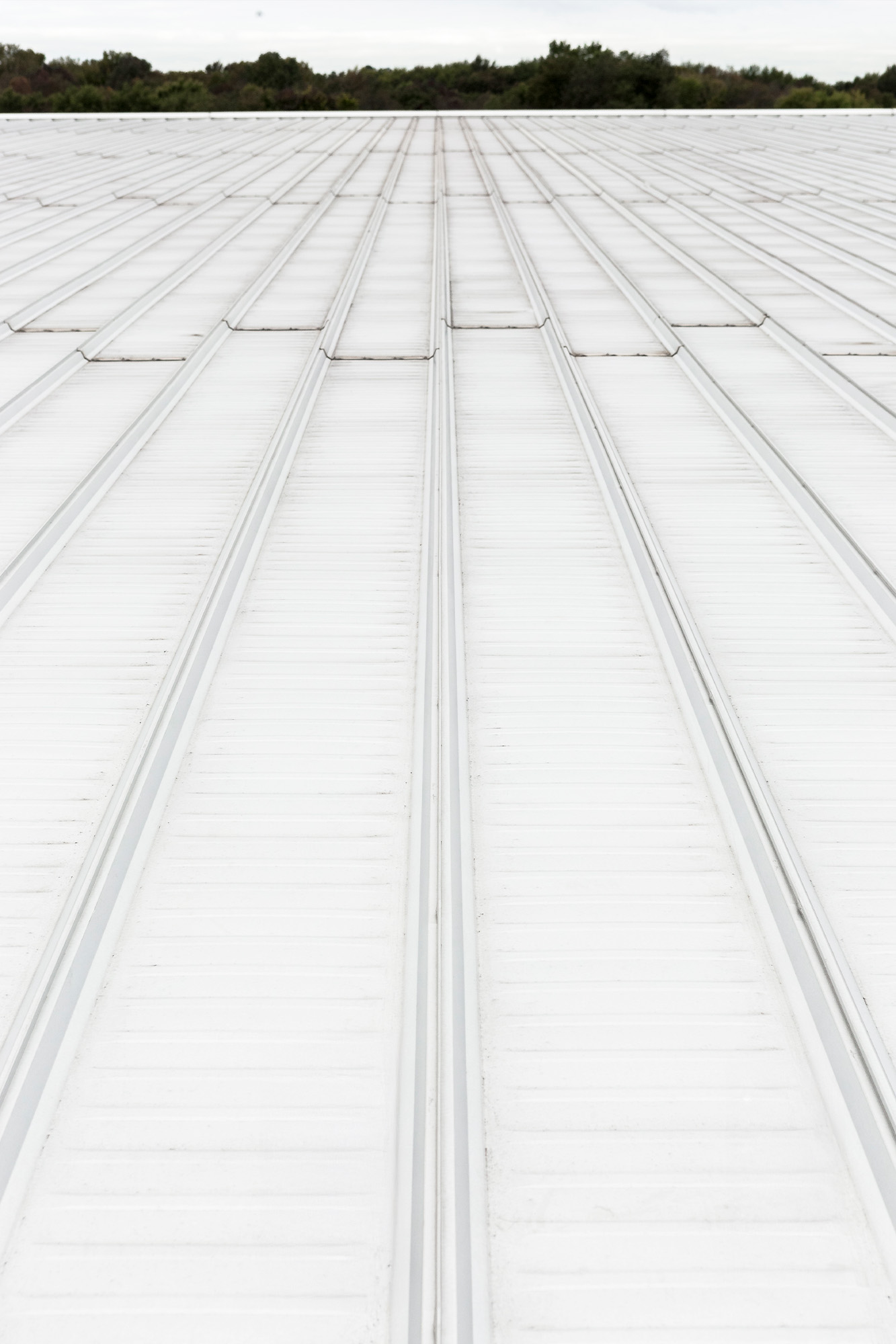 White standing-seam steel roof panels in parallel runs, viewed toward the roof horizon